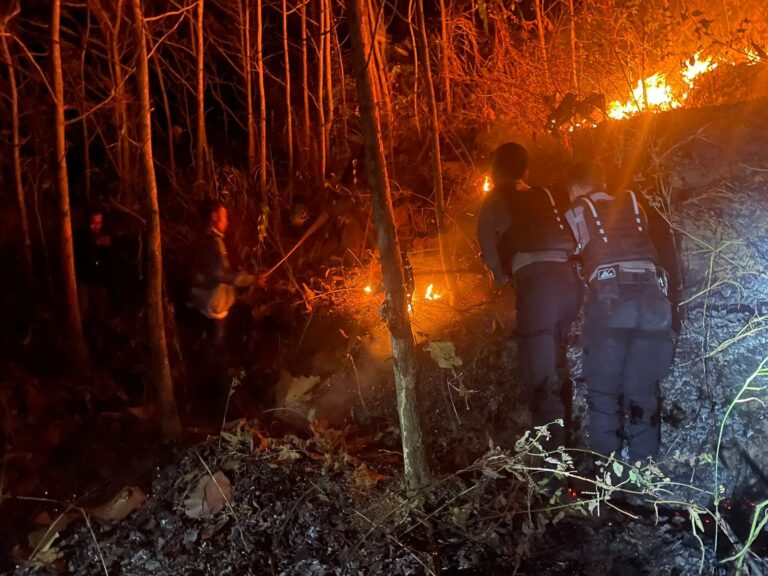 Sinergitas Polisi dan TNI Bersama Masyarakat Berhasil Padamkan Kebakaran Lahan di Magetan