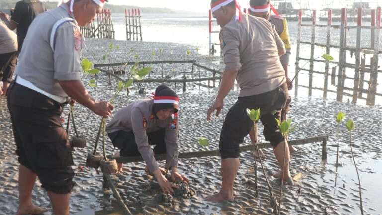 Cegah Abrasi Polisi Tanam Bibit Pohon Mangrove di Pantai Ekowisata Mangrove Lembung Pamekasan